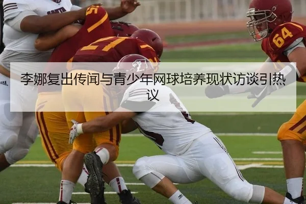 李娜复出传闻与青少年网球培养现状访谈引热议