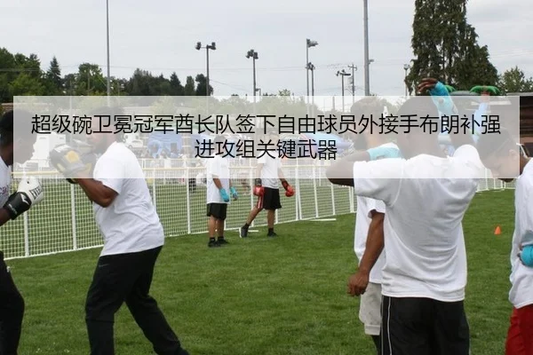 超级碗卫冕冠军酋长队签下自由球员外接手布朗补强进攻组关键武器